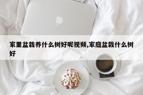 家里盆栽养什么树好呢视频,家庭盆栽什么树好