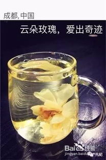 女人喝玫瑰花茶有什么好处[常喝玫瑰花茶有什么好处和坏处]