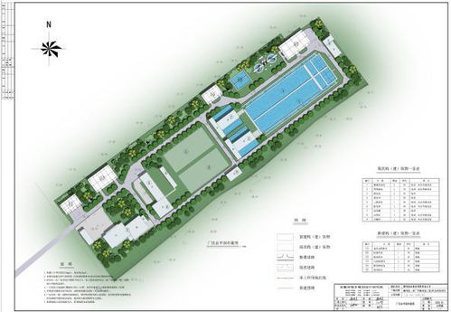 三角梅施肥方法和用量[三角梅的施肥浇水管理方法]