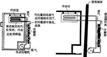 简述施肥原理,施肥的原理包括