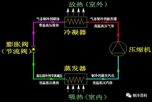 施肥的基本原理有那些,施肥的主要原理有哪些