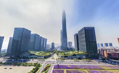 城市天际线拍摄花卉,城市天际线绿化在哪