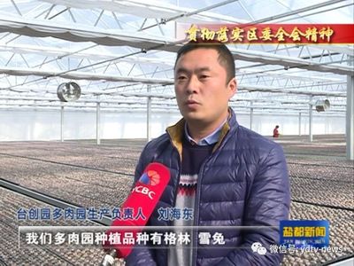 浙江花卉玻璃温室设计厂家,浙江花卉玻璃温室设计厂家电话