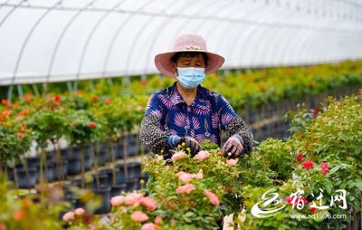 福建花卉薄膜温室建设现状,怀化各种塑料桶