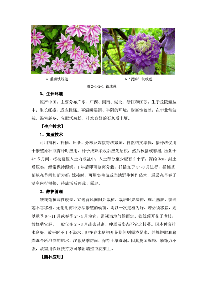 常见花卉栽培技术有,花卉有哪些栽培设施及设备