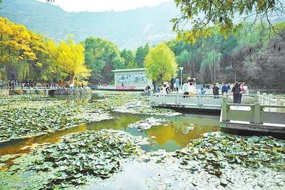 兰州五泉山花卉展示馆,兰州五泉山公园营业时间