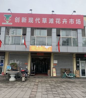 重庆通用花卉肥料排名多少,重庆市花卉