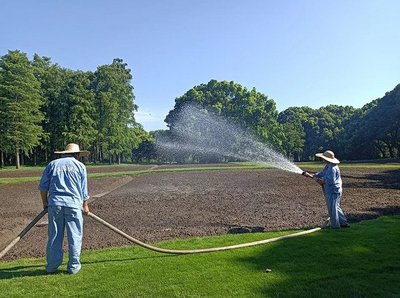 花卉混播施工方案,混播草花品种