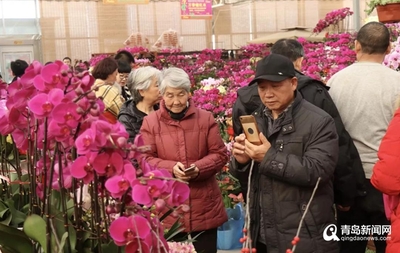 即墨区绿色花卉服务保障,即墨区绿色花卉服务保障中心地址