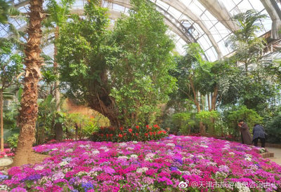 天津花卉园林设计院,天津市园林花卉经营服务中心