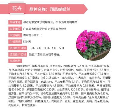 广东花卉进口数据查询,广东花卉批发