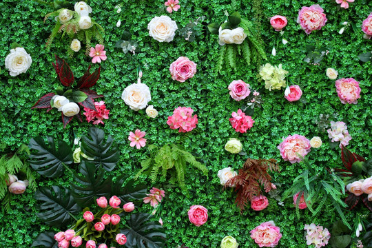 辽宁纯手工植物墙花卉,辽宁纯手工植物墙花卉市场