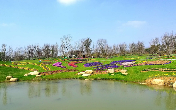 溧水区花卉批发销售厂家,溧水的鲜花批发市场