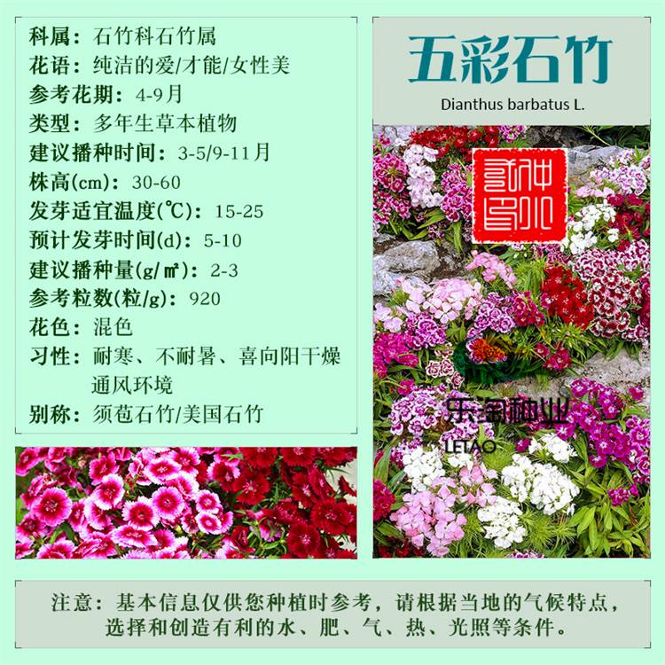 丽水小型花卉苗销售店,丽水小型花卉苗销售店电话