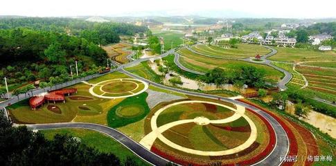 黄陂区园艺花卉租赁,黄陂区花鸟市场