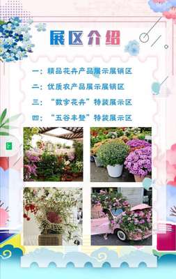 精品花卉来电咨询电话,花卉批发电话