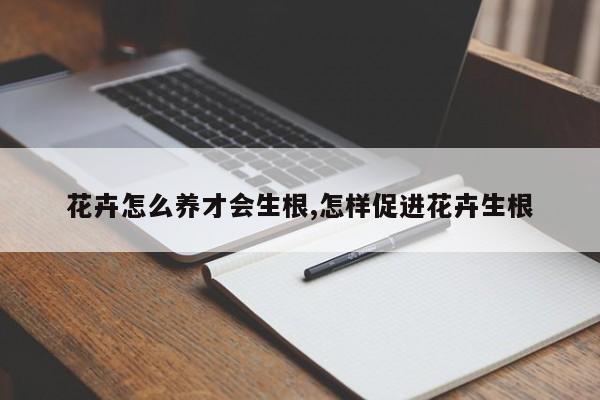 花卉怎么养才会生根,怎样促进花卉生根